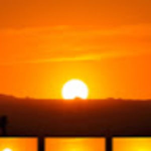 Meet your Posher, Liam